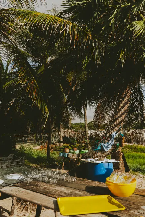Mesa y palmeras del alojamiento, momento fuera del agua